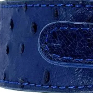 Close-up of royal blue South African ostrich leather with its raised quill follicles