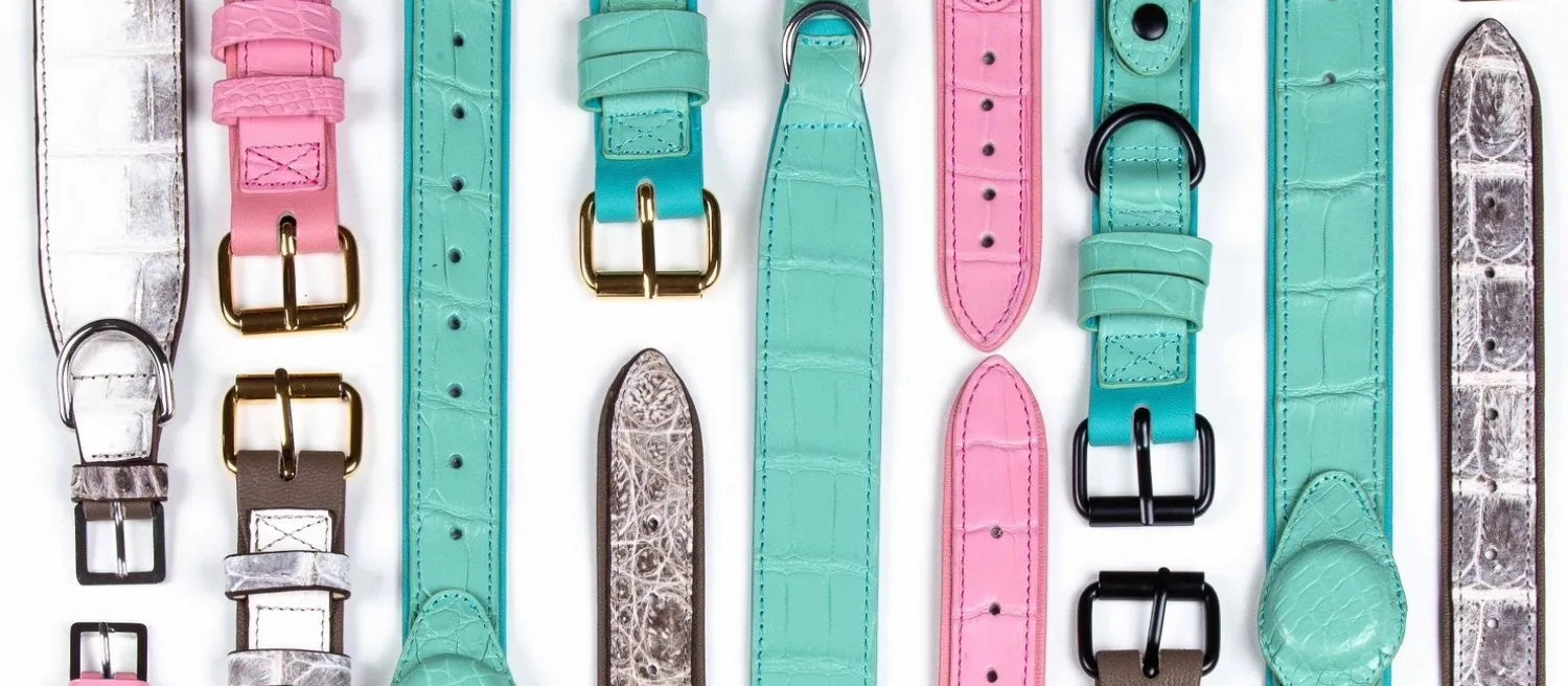 Flat lay of Rich Dogue pink, teal and Himalayan crocodile dog collars