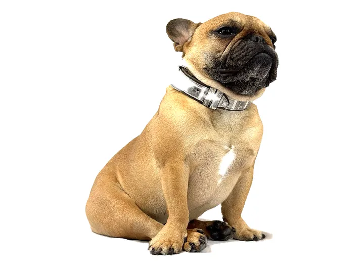 Doris wearing the Himalayan Crocodile Collar
