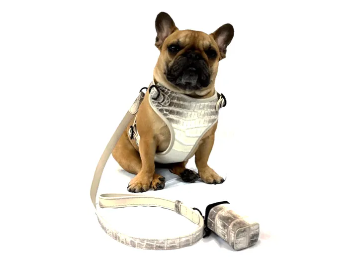 Himalayan Crocodile Harness & Matching Collar, black finish: luxury crocodile dog harness and matching collar