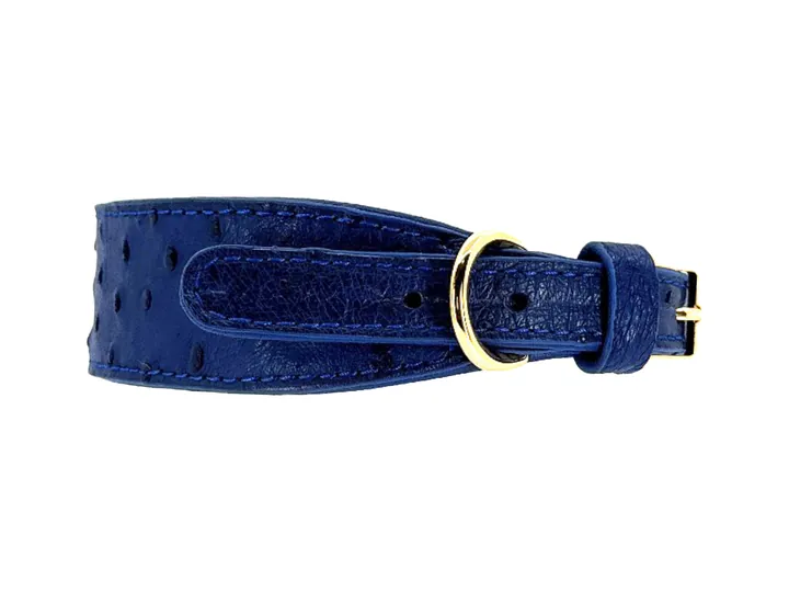 Blue Ostrich Collar, gold finish: luxury ostrich leather dog collar