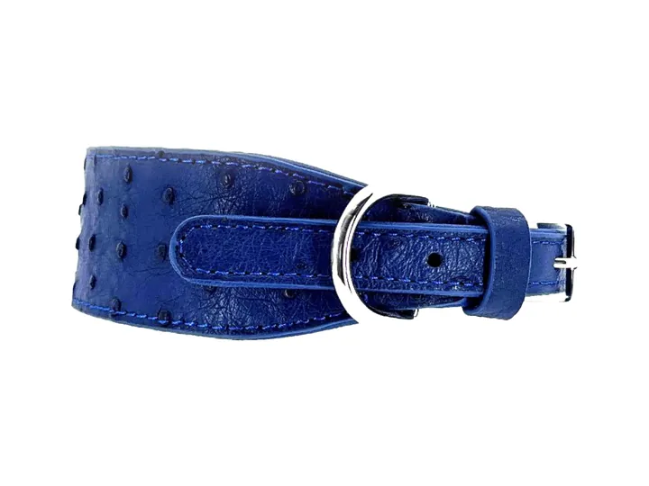 Blue Ostrich Collar, silver finish: luxury ostrich leather dog collar