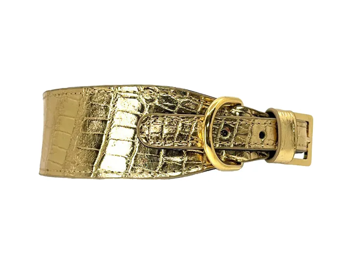 Gold Crocodile Collar, gold finish: luxury crocodile leather dog collar