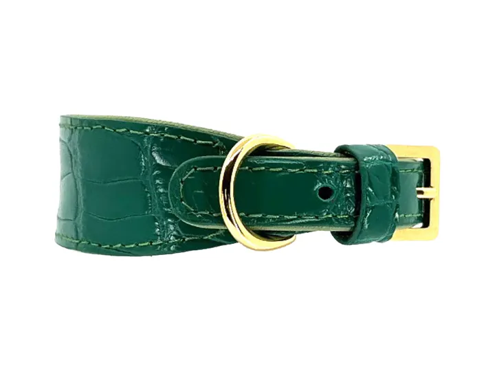 Green Crocodile Collar, gold finish: luxury crocodile leather dog collar