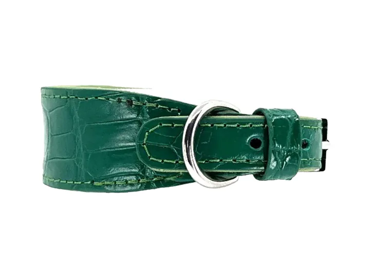 Green Crocodile Collar, silver finish: luxury crocodile leather dog collar