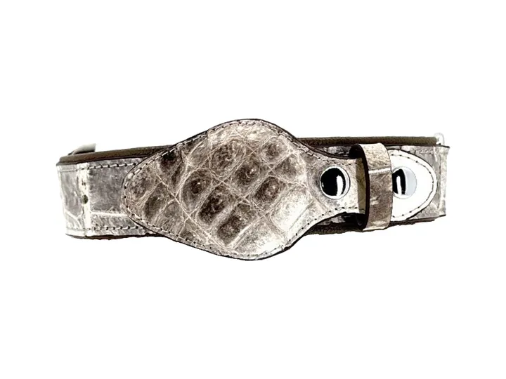 Himalayan Crocodile Tracker Collar, silver finish: luxury crocodile AirTag dog collar