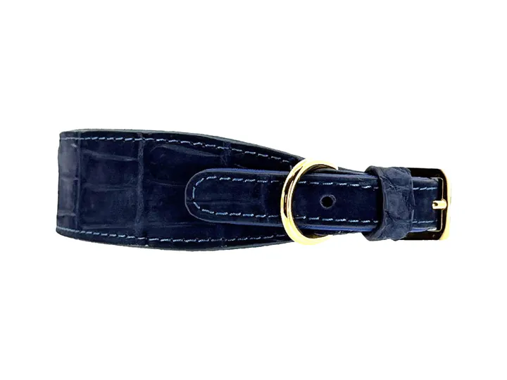 Marine Blue Suede-Finish Crocodile Collar, gold finish: luxury crocodile leather dog collar