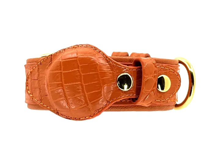 Orange Crocodile Tracker Collar, gold finish: luxury crocodile AirTag dog collar