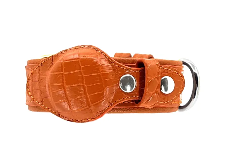 Orange Crocodile Tracker Collar, silver finish: luxury crocodile AirTag dog collar
