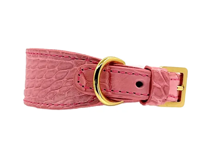 Paris Pink Crocodile Collar, gold finish: luxury crocodile leather dog collar