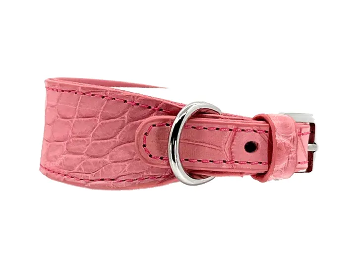 Paris Pink Crocodile Collar, silver finish: luxury crocodile leather dog collar