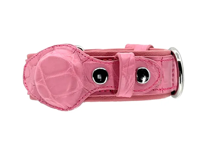 Pink Crocodile Tracker Collar, silver finish: luxury crocodile AirTag dog collar