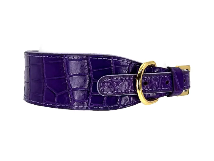 Purple Crocodile Collar, gold finish: luxury crocodile leather dog collar