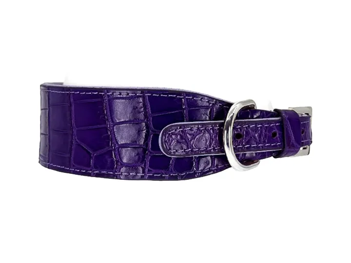 Purple Crocodile Collar, silver finish: luxury crocodile leather dog collar
