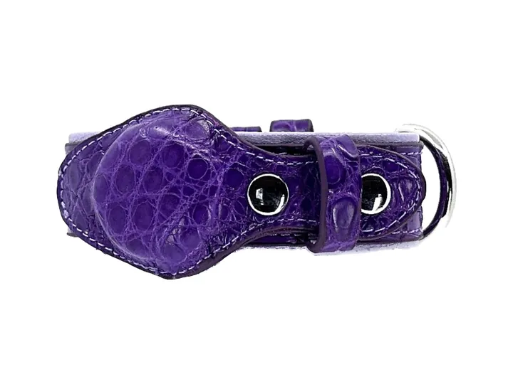 Purple Crocodile Tracker Collar, silver finish: luxury crocodile AirTag dog collar
