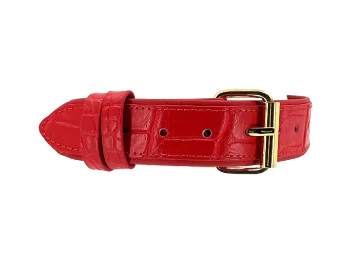 Red Crocodile Tracker Collar, gold buckle detail
