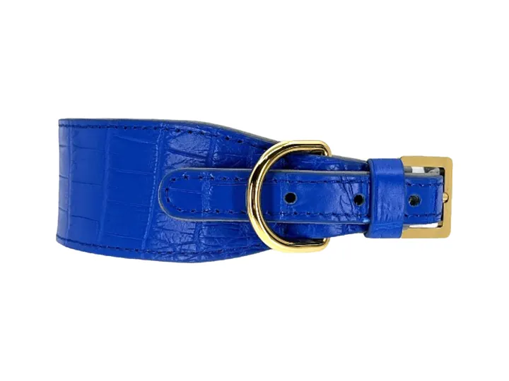 Royal Blue Crocodile Collar, gold finish: luxury crocodile leather dog collar
