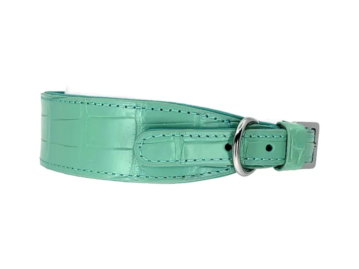 Teal Blue Crocodile Collar, silver finish: luxury crocodile leather dog collar