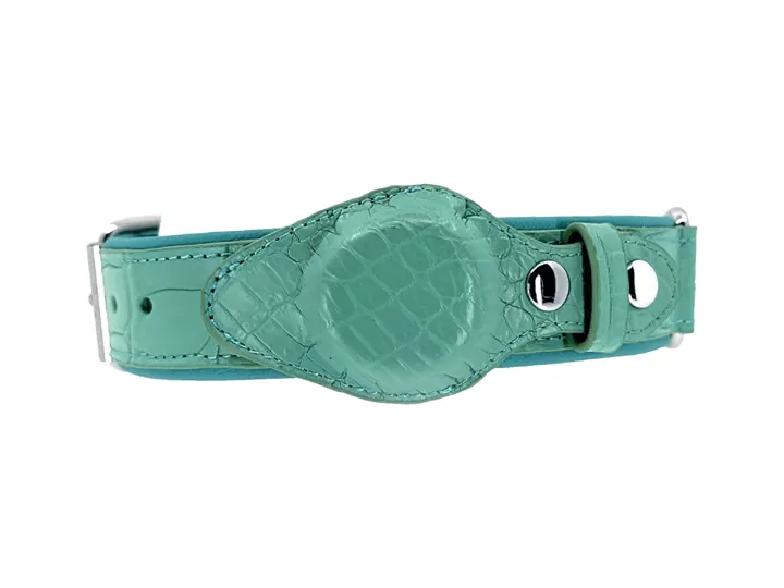 Teal Blue Crocodile Tracker Collar, silver finish: luxury crocodile AirTag dog collar
