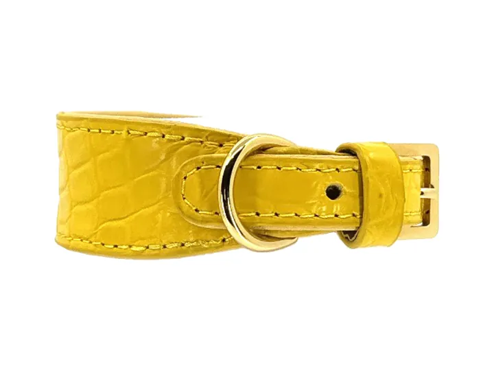 Yellow Crocodile Collar, gold finish: luxury crocodile leather dog collar