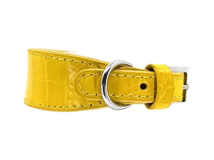 Yellow Crocodile Collar, silver finish: luxury crocodile leather dog collar